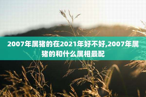2007年属猪的在2021年好不好,2007年属猪的和什么属相最配