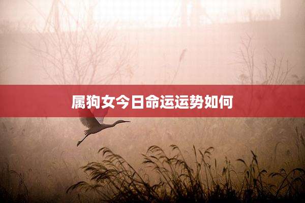 属狗女今日命运运势如何