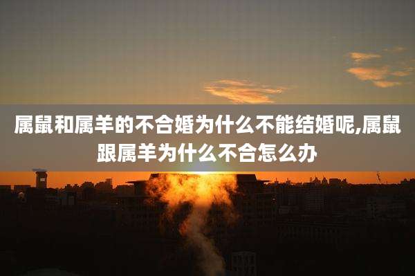属鼠和属羊的不合婚为什么不能结婚呢,属鼠跟属羊为什么不合怎么办