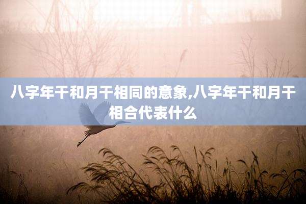八字年干和月干相同的意象,八字年干和月干相合代表什么