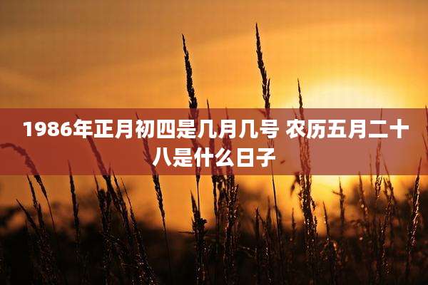 1986年正月初四是几月几号 农历五月二十八是什么日子