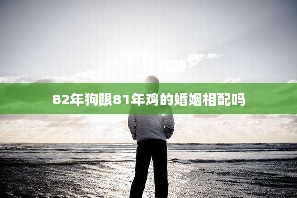 82年狗跟81年鸡的婚姻相配吗