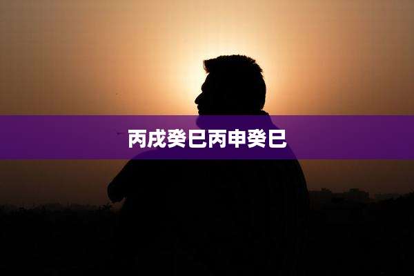 丙戌癸巳丙申癸巳