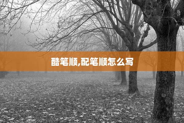 酷笔顺,配笔顺怎么写