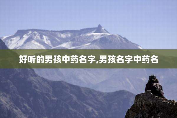 好听的男孩中药名字,男孩名字中药名