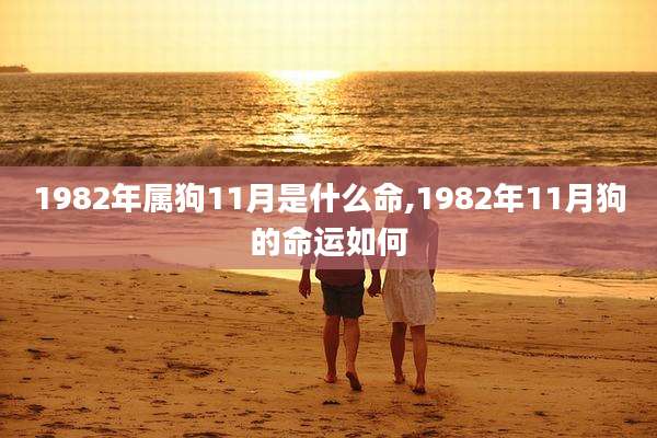 1982年属狗11月是什么命,1982年11月狗的命运如何