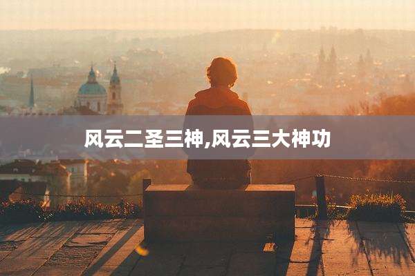 风云二圣三神,风云三大神功