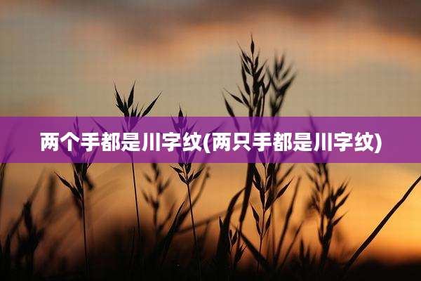两个手都是川字纹(两只手都是川字纹)