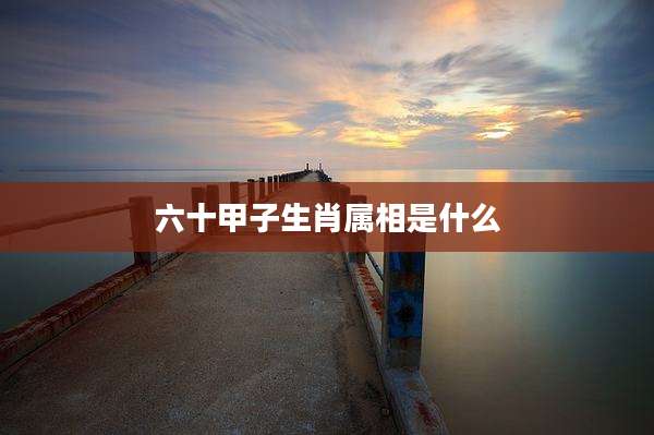 六十甲子生肖属相是什么