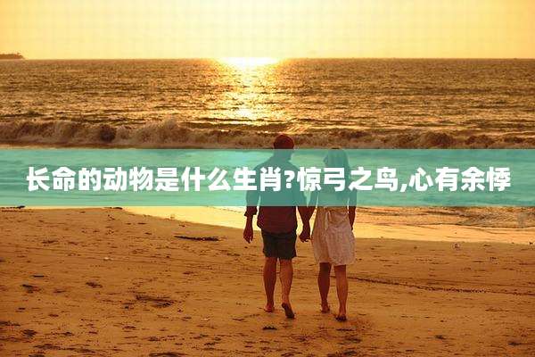 长命的动物是什么生肖?惊弓之鸟,心有余悸