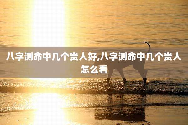 八字测命中几个贵人好,八字测命中几个贵人怎么看