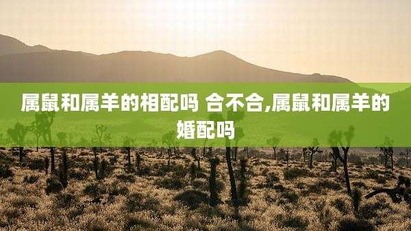属鼠和属羊的相配吗 合不合,属鼠和属羊的婚配吗