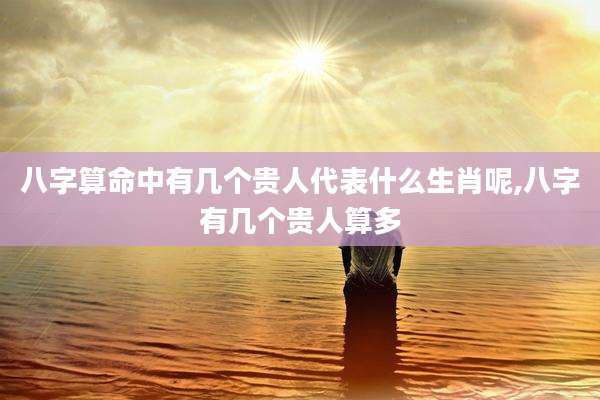 八字算命中有几个贵人代表什么生肖呢,八字有几个贵人算多