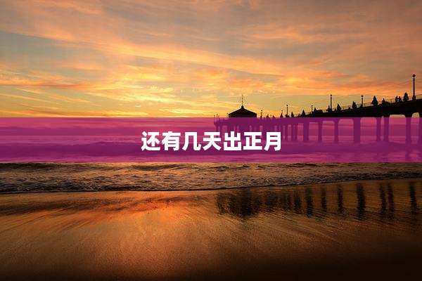 还有几天出正月