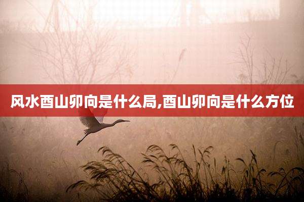 风水酉山卯向是什么局,酉山卯向是什么方位
