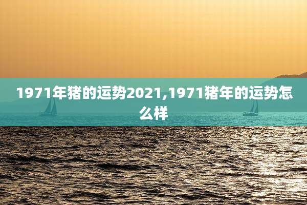 1971年猪的运势2021,1971猪年的运势怎么样