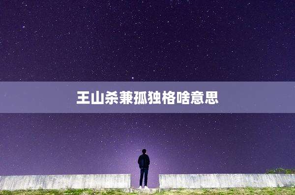 王山杀兼孤独格啥意思