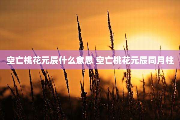 空亡桃花元辰什么意思 空亡桃花元辰同月柱
