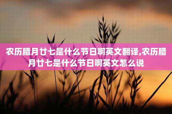 农历腊月廿七是什么节日啊英文翻译,农历腊月廿七是什么节日啊英文怎么说