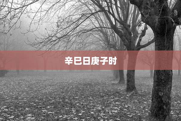 辛巳日庚子时