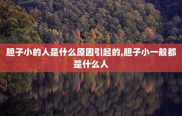 胆子小的人是什么原因引起的,胆子小一般都是什么人