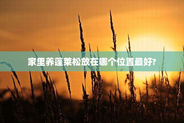 家里养蓬莱松放在哪个位置最好?