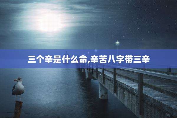 三个辛是什么命,辛苦八字带三辛