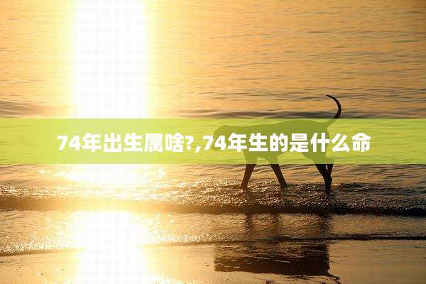 74年出生属啥?,74年生的是什么命
