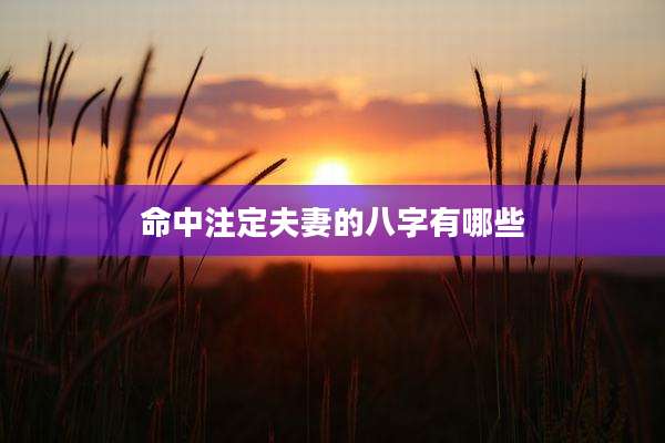 命中注定夫妻的八字有哪些