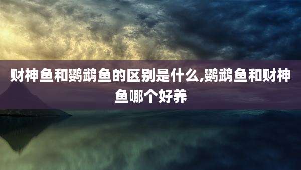 财神鱼和鹦鹉鱼的区别是什么,鹦鹉鱼和财神鱼哪个好养