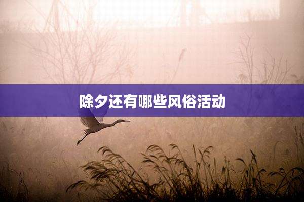 除夕还有哪些风俗活动