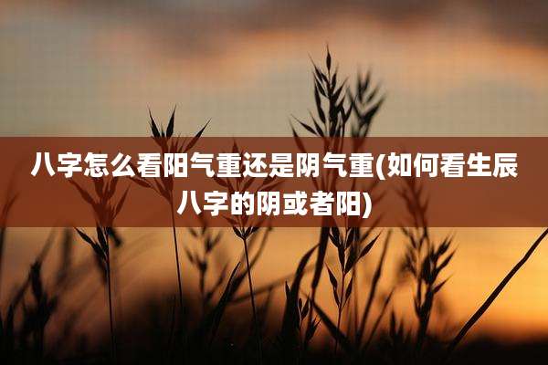 八字怎么看阳气重还是阴气重(如何看生辰八字的阴或者阳)