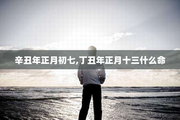 辛丑年正月初七,丁丑年正月十三什么命