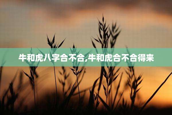 牛和虎八字合不合,牛和虎合不合得来