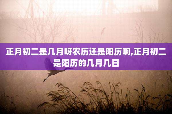 正月初二是几月呀农历还是阳历啊,正月初二是阳历的几月几日