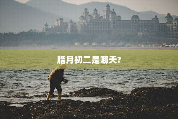 腊月初二是哪天?