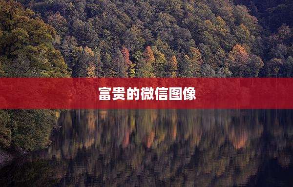 富贵的微信图像