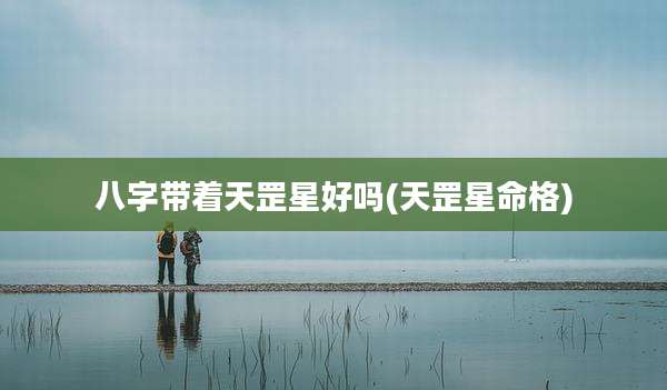 八字带着天罡星好吗(天罡星命格)