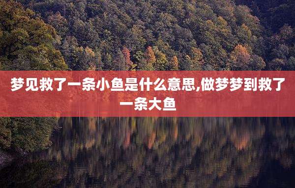 梦见救了一条小鱼是什么意思,做梦梦到救了一条大鱼