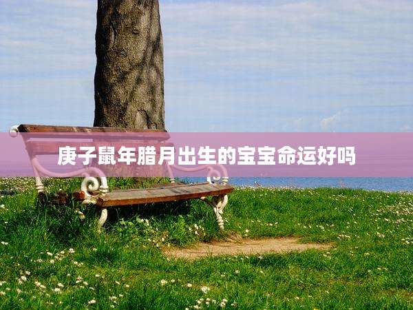 庚子鼠年腊月出生的宝宝命运好吗