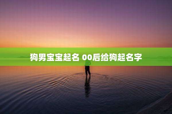 狗男宝宝起名 00后给狗起名字