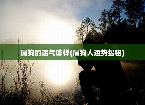 属狗的运气咋样(属狗人运势揭秘)