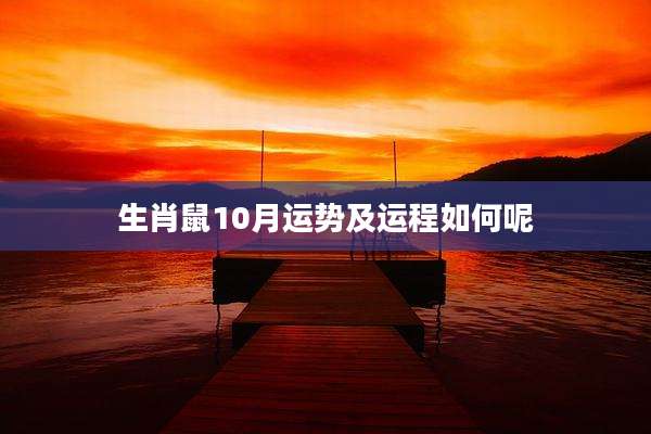 生肖鼠10月运势及运程如何呢