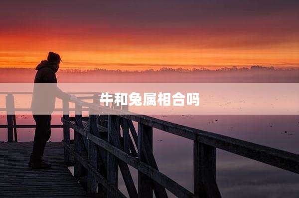 牛和兔属相合吗