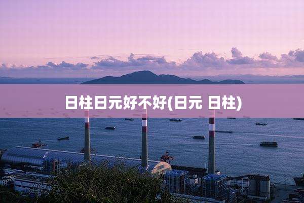 日柱日元好不好(日元 日柱)