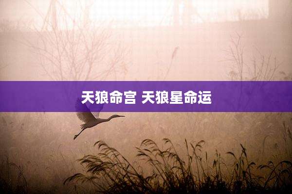 天狼命宫 天狼星命运