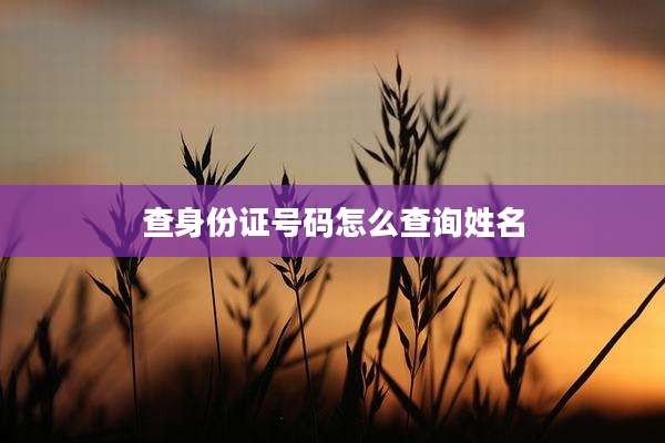 查身份证号码怎么查询姓名