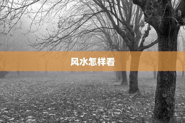 风水怎样看