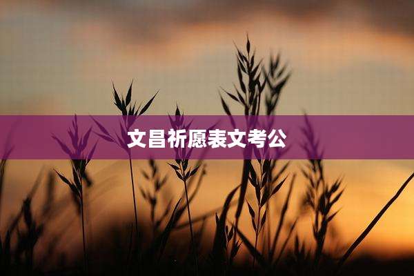 文昌祈愿表文考公