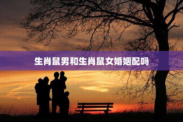 生肖鼠男和生肖鼠女婚姻配吗